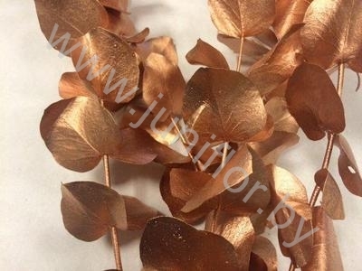 Эвкалипт Синерея Бронз Gr Euc Cinerea p Bronz