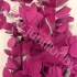 Эвкалипт Синерея Церис Gr Euc Cinerea p Cerise
