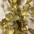 Эвкалипт Синерея Голд Gr Euc Cinerea p Gold Эвкалипт Синерея Голд Gr Euc Cinerea p Gold