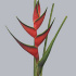 Heliconia_Ortho_Edge_of_Nite.jpg Хеликония Heliconia Ortho Edge of Nite