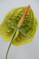 Антуриум Green Love