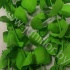 Эвкалипт Синерея Грин Gr Euc Cinerea p Green