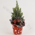 Ель Pic.Rondella Kersttoef NO SNOW