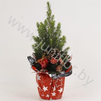 Ель Pic.Rondella Kersttoef NO SNOW