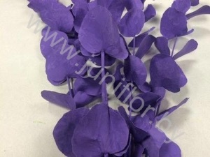 Эвкалипт Синерея Милка Gr Euc Cinerea p Milka