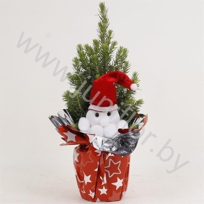 Ель Pic.Rondella Kerstman NO SNOW