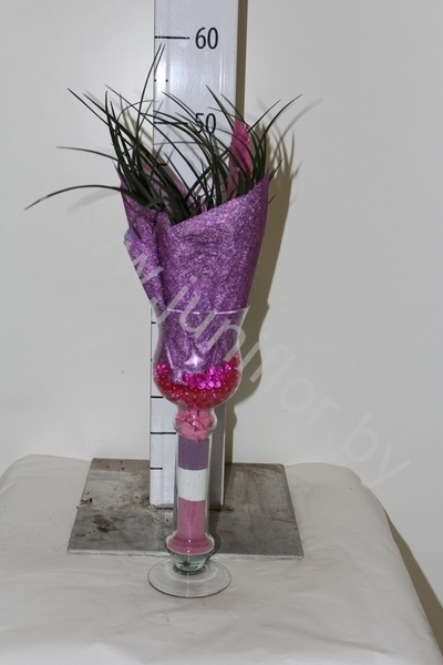 Тилландсия Anita In Glas
