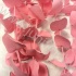 Эвкалипт Синерея Пинк Gr Euc Cinerea p Pink
