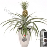 Ананас Ananas Corona 13cm Urban Silver+Hanger