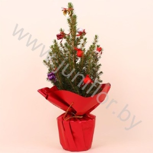 Ель Pic.Rondella Decoraties NO SNOW