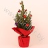 Ель Pic.Rondella Decoraties NO SNOW