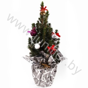 Ель Pic.Rondella Decoraties NO SNOW