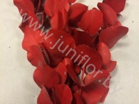 Эвкалипт Синерея Ред Gr Euc Cinerea p Red