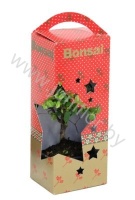 Бонсай Bonsai Christmas Showbox