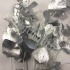 Эвкалипт Синерея Сильвер Gr Euc Cinerea p Silver