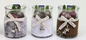 Гиацинт Bont Merry Xmas Glass+Hyacint