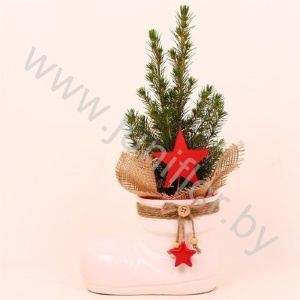 Ель Pic.Keramiek Laars NO SNOW